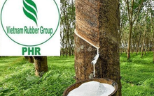 Một doanh nghiệp Bất động sản KCN sắp chi hơn 500 tỷ đồng trả cổ tức 2022