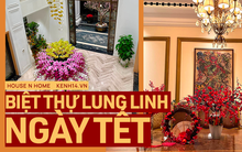 Giới siêu giàu Việt đón Tết Nhâm Dần: "Biệt phủ" gỗ 450m2 ngập trong sắc lan đủ loại, đại gia Quảng Ninh giăng hoa khắp lối đi