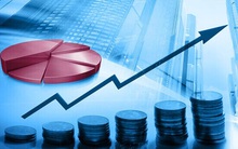 Sao Mai Group (ASM) báo lãi sau thuế 705 tỷ đồng cả năm, tăng 23% so với cùng kỳ