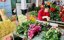 Lễ Valentine cận kề, giá hoa hồng Đà Lạt tăng vọt
