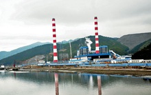 Vượt 50% kế hoạch năm, Nhiệt điện Quảng Ninh (QTP) lấy ý kiến cổ đông để dùng 360 tỷ đồng tạm ứng cổ tức năm 2021