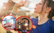 Nước đóng chai, nước khoáng, nước máy đun sôi: Loại nước nào uống trong thời gian dài thì tốt cho sức khỏe lẫn ví tiền?