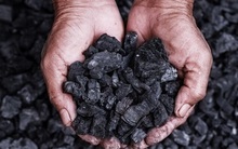 Bất chấp thị trường chung đỏ lửa, cổ phiếu "vàng đen" ngược dòng nổi sóng nhờ đâu?