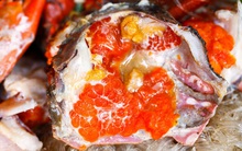 Ăn hải sản mấy chục năm ai nghĩ đơn giản PHẦN MÀU VÀNG trong con cua biển là GẠCH đều sai hết rồi nhé!