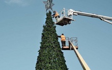 Cổ phiếu mô hình "cây thông" vừa bị HoSE cảnh báo: Chủ tịch tuyên bố luôn tìm cách bảo vệ quyền lợi của cổ đông công ty