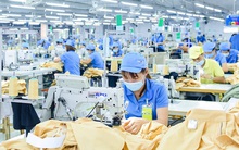 Bà Rịa - Vũng Tàu thiếu hàng nghìn lao động sau Tết