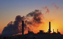 Ô nhiễm môi trường khiến nhiều người thiệt mạng hơn đại dịch COVID-19