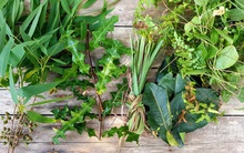 Dược liệu xông hơi 'cháy hàng', tiểu thương bán 2 tạ lá xông mỗi ngày