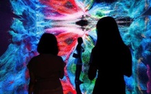 “Thế giới ảo” vẫn lung linh bất chấp thị trường tài sản rủi ro đang nguội lạnh