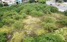 Chủ đầu tư "bỏ của chạy lấy người" sau nhiều năm không làm xong dự án