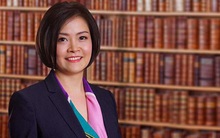 Dấn ấn những lãnh đạo "mãnh hổ" trên thị trường bất động sản Việt Nam