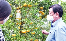 Nông nghiệp cán đích kỷ lục