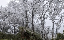 ẢNH: Băng tuyết phủ trắng đỉnh Phia Oắc khi nền nhiệt xuống -6 độ C, đỉnh Mẫu Sơn cũng bắt đầu đông kết băng