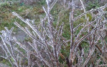 Clip băng tuyết phủ kín như thuỷ tinh trên đỉnh Mẫu Sơn, dân tình đã rục rịch "lên đồ" đi săn tuyết