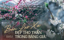 Ảnh: Vẻ đẹp băng giá của bản Lao Xa ở Hà Giang những ngày "âm độ C", tiên cảnh cũng chỉ cỡ này mà thôi!