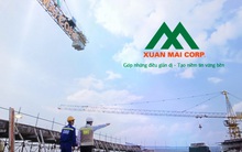 Cổ phiếu doanh nghiệp tăng 230% sau 8 phiên tím, đại gia xây dựng - bất động sản là cổ đông lớn nhất