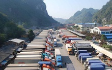 Lạng Sơn tạm dừng tiếp nhận xe chở hoa quả tươi đến 5/3