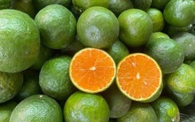 Đắt hàng mùa dịch, giá cam, quýt nhảy múa từng ngày