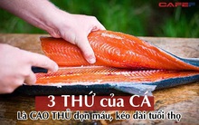 3 thứ của CÁ ăn nhiều càng trường thọ, là cao thủ dọn sạch RÁC trong máu: Nhưng chỉ đảm bảo dinh dưỡng nếu nắm rõ các lưu ý khi sử dụng