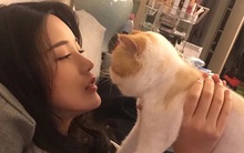 Phụ nữ sống thọ thường có 3 "nét chung", nếu có cả 3 thì xin chúc mừng bạn đang là người khỏe mạnh