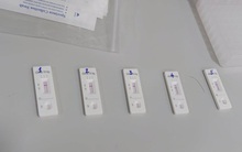 Test nhanh Covid-19 'vô tội vạ', chuyên gia nói: Lãng phí, chỉ test khi có triệu chứng sau