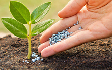 "Ngư ông đắc lợi" từ căng thẳng Nga – Ukraine, một nhóm cổ phiếu âm thầm bứt phá, có mã tăng trần 4 phiên liên tiếp