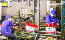 Không có nhà đầu tư đăng ký mua, phiên chào bán cạnh tranh cổ phần LAS của Vinachem tiếp tục "ế"