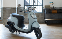 Xe tay ga Honda giá 19 triệu siêu tiết kiệm xăng có phiên bản mới, đi 80km uống 1 lít xăng