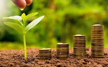 Điểm danh những doanh nghiệp chốt quyền nhận cổ tức bằng tiền, bằng cổ phiếu và cổ phiếu thưởng tuần từ 8/2 đến 11/2/2022