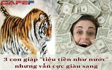 3 con giáp trời sinh vận số cực tốt, "tiêu tiền như nước" nhưng vẫn rủng rỉnh, biết tận dụng cơ hội thì không bao giờ nghèo: Bạn có nằm trong số đó?