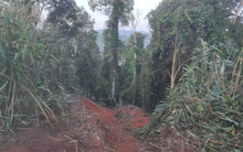 Danh tính 6 nạn nhân tử vong trong vụ tai nạn giao thông thảm khốc ở Gia Lai