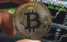 Chuyên gia cảnh báo mức giá hợp lý của Bitcoin hiện chỉ là 38.000 USD, nhà đầu tư đừng dại thấy 'hoa nở mà ngỡ xuân về'