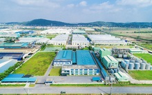 Saigontel (SGT) chuẩn bị chào bán hơn 74 triệu cổ phiếu, tăng vốn điều lệ lên gấp đôi