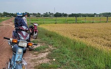 Đất Hóc Môn, Củ Chi lại bị thổi giá