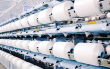 Sợi Thế Kỷ (STK): Mục tiêu lợi nhuận 2022 đạt 300 tỷ đồng, lên kế hoạch chào bán riêng lẻ 13,5 triệu cổ phiếu, chia cổ tức 2021 bằng tiền mặt tỷ lệ 15%