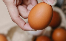 Trứng bảo quản được bao lâu trong tủ lạnh?