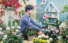 Khu vườn hoa trên tầng 32 của chàng trai trẻ khiến các chị em phải xuýt xoa bởi tài chăm bón quá đỉnh