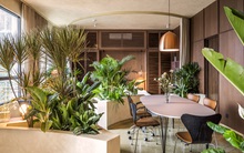 Gia chủ Sài Gòn mang cả khu vườn nhiệt đới vào bên trong căn hộ gần 90 m2 nằm giữa khu nhà giàu quận 2