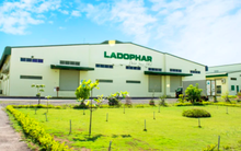 Louis Holdings sắp thâu tóm Dược Lâm Đồng