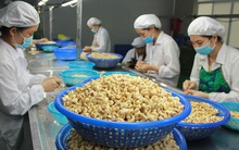 Liệu 5 ngân hàng Việt có phải chịu rủi ro trong vụ nghi lừa đảo gần 1.000 tỷ lớn nhất lịch sử ngành điều?