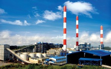 Vượt 50% kế hoạch năm, Nhiệt điện Quảng Ninh (QTP) chốt danh sách cổ đông chi 360 tỷ đồng tạm ứng cổ tức