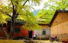 Cổ nhân nói “Trước cửa không trồng cây, sau nhà ít mở cửa sổ”: Vì sao?