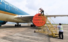 Hôm nay mở cửa du lịch: Hàng không sẵn sàng, nhưng vẫn phải chờ