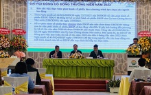 ĐHĐCĐ Angimex (AGM): Sẽ phát hành tăng vốn 130% trong quý 1/2022