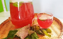 Tía tô được ví tốt ngang thần dược chữa ho, giải cảm và tăng đề kháng: Ngoài đun nước pha với mật ong, tía tô dùng theo 3 cách này sẽ giúp F0 nhanh khỏi bệnh