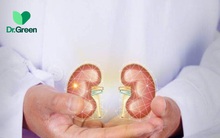 4 thực phẩm được mệnh danh là “nhà vô địch” về bồi bổ thận: Ăn thường xuyên giúp bổ thận tráng dương, cực kỳ tốt cho nam giới!