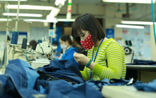 Sắp điều tra tiền lương và mức sống tối thiểu của người lao động