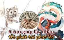 6 cặp con giáp cực hợp nhau, nếu "về chung một nhà" thì phát tài phát lộc, làm ăn tấn tới, giàu có 3 đời