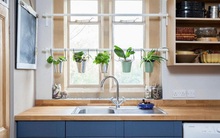 Những vị trí trồng cây phong thủy mang tài lộc cho gia chủ năm 2022