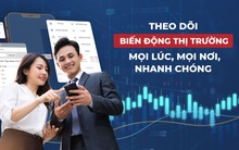 Nhờ một ứng dụng, nhà đầu tư F0 đã thoát nhịp điều chỉnh mạnh lấy đi nửa tài khoản chứng khoán